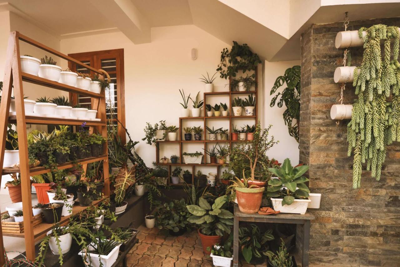 Mistygreen Homestay Thekkady Eksteriør billede